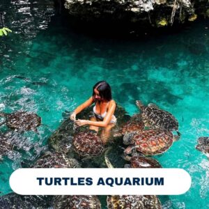 4. days serengeti ngorongoro 7